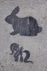 telaviv 54