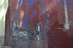 telaviv 62