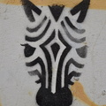 telaviv 81
