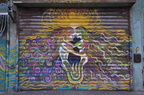 telaviv 411