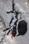telaviv 419
