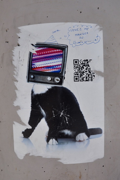 streetart_lyon_12.jpg