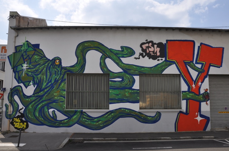 streetart_lyon_106.jpg
