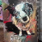 streetart 2016 02 00016 (5781 visits) streetart 2016 02 00016