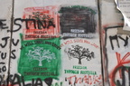 palestine 18