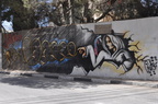 palestine 30