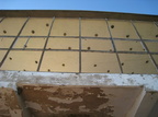 muether325