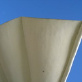 muether36