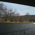 0029 IMG 0520