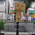 puppets 16