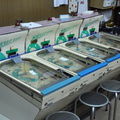 arcades 2