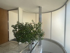 villa tugendhat 030 (7458 visits) villa tugendhat 030