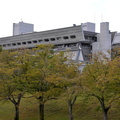 icc kyoto 01