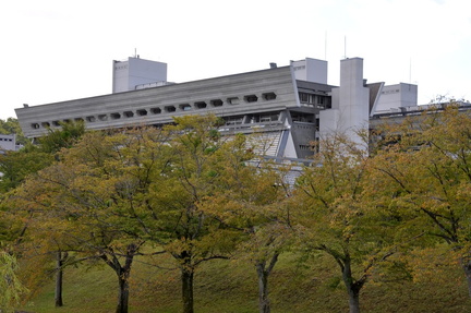 icc kyoto 01